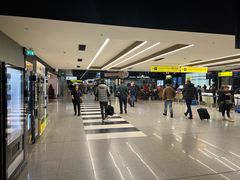 -谢列梅捷沃国际机场