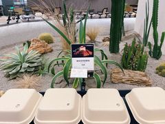 -OUR Bakery(SKP-S店)