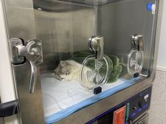 -谐和贝康宠物医院24小时·宠保定点(急重症转诊中心)