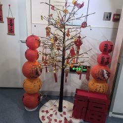 -温州伯思立医院