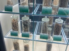 -广东中医药博物馆