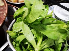 -欣悦坊陈一刀热气羊肉火锅(清真路店)
