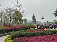 -桂林两江四湖景区