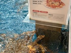-盒马鲜生(大成店)