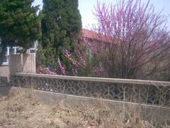 -悦喜客来购物广场(中山路店)