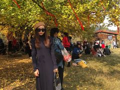 -千年银杏谷文化旅游区