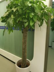 -联合丽格·张菡丽格医疗美容