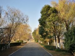 -梁鸿国家湿地公园