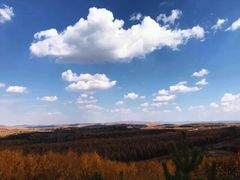 -塞罕坝国家级自然保护区