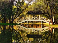 -上海共青森林公园