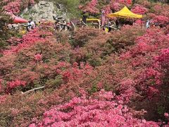 -木兰云雾山