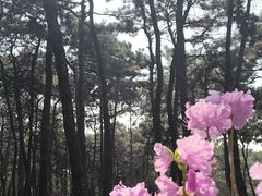 -红螺寺