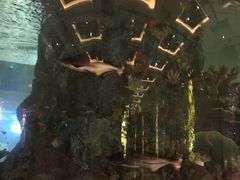 -上海南新雅大酒店
