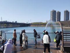 -长白岛森林公园