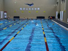 -鲸灵公元游泳中心