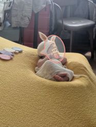 -西瓜庄园儿童摄影