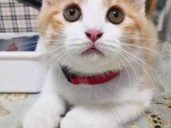 -美联众合爱康动物医院•复杂内科•肿瘤科•牙科•腔镜诊疗中心