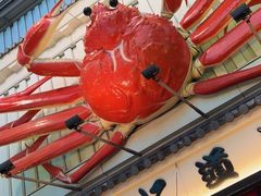 -蟹道乐(道顿堀本店)