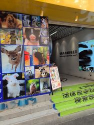-神奇动物撸宠馆·羊驼·小浣熊·异宠(豫园店)
