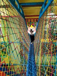 -宝燕乐园(闵行旗舰店)