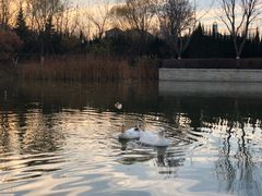 -朋友的火锅店(苏家屯店)