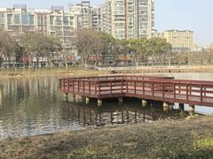 -新江湾城公园