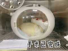 -申普宠物医院·心脏介入·心血管微创(总院)