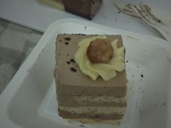 -维尔纳斯·生日蛋糕动物奶油冰淇淋蛋糕(人大店)