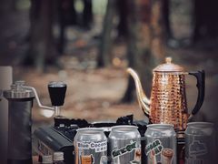 -武陵山森林公园