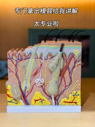 -雍禾植发全国连锁