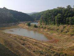 -东莞市大岭山森林公园