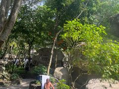 -海口观澜湖火山温泉谷