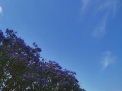 -金海湾滨江公园