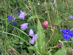 -白草畔自然风景区