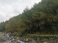 -硗碛藏寨·神木垒景区