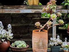 -凤来栖·净庭院·火锅(欧尚店)