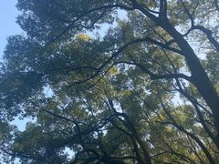 -石峰公园