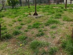 -辛玛王国游乐园