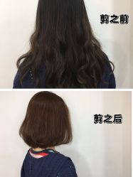 -蚂蚁造型俱乐部