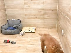 -Double Rui宠物酒店