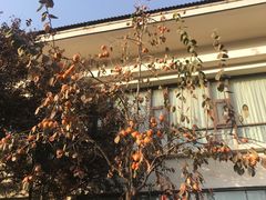 -国御温泉度假小镇