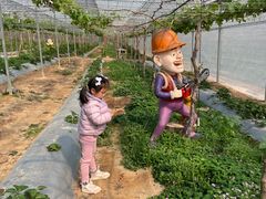 -海堤葡萄园中小学生研学基地