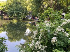 -惠山古镇·寄畅园