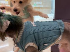 -帕帕拉兹宠物(亚洲旗舰店)