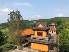 -铁山坪森林公园