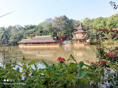 -曼听御花园
