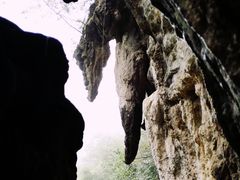 -武陵山森林公园