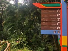 -新加坡飞禽公园