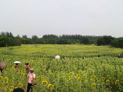 -奥林匹克森林公园北园-停车场