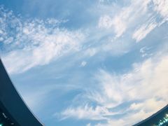 -大连体育中心体育馆